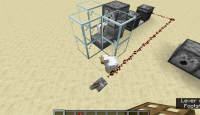 Chicken1.14.1.gif