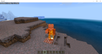 Minecraft 5_17_2019 1_51_12 AM.png