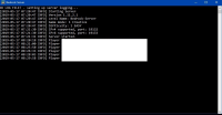 Server window.jpg