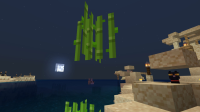 Block update issue.jpeg