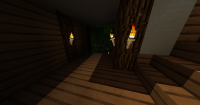 torch glitch.png