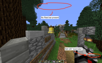 Screenshot Bug.png