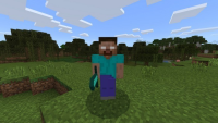 screenshot2019minecraftxbox.windows10.jpg