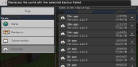 Screenshot_20190702-113945_Minecraft.jpg