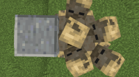 Screen Shot 2019-07-07 at 12.56.57 PM.png