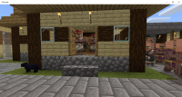 Minecraft 7_9_2019 10_25_23 PM.png