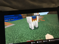 image.jpg