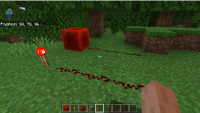 Minecraft Bug.PNG