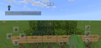 Screenshot_2019-07-28-18-53-34-222_com.mojang.minecraftpe.png