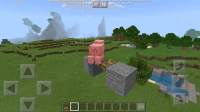 Screenshot_2019-08-03-10-51-21-247_com.mojang.minecraftpe.png