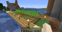 Minecraft 1.14.4 8_8_2019 4_18_18 PM.png