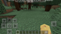 Screenshot_2019-08-12-21-43-25.png