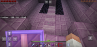 Screenshot_20190812-214722_Minecraft.jpg