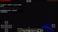 68588491_1309988235837051_1329882068531806208_n.jpg