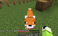 fox2.png