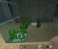 Minecraft 08_09_2019 00_33_01 (2).png