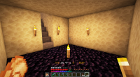 Torches Placed - 2019-09-11_14.54.18.png