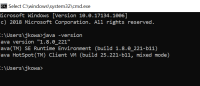 Java.PNG