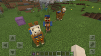 Screenshot_20191002-174216.png