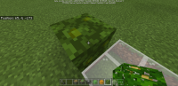 Screenshot_20191017-164842_Minecraft.jpg