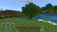 Screenshot_20191016-200709.jpg