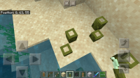 Screenshot_20191030-080010_Minecraft.jpg