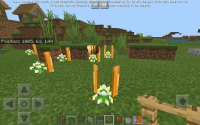 Screenshot_2019-11-02-10-58-13.jpeg