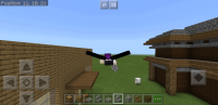 Screenshot_20191110-103142_Minecraft.JPEG
