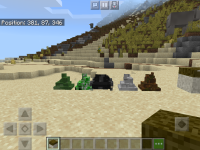 IMG_0077.PNG