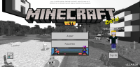 Screenshot_20191114-231651_Minecraft.jpg