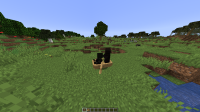 2019-11-15_22.58.42.png