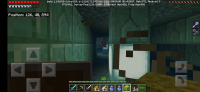Screenshot_20191117-000501_Minecraft.jpg