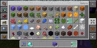 Screenshot_2019-11-17-19-06-55-636_com.mojang.minecraftpe.png