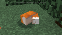 Screenshot_20191127-114525_Minecraft.jpg