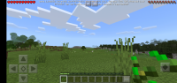 Screenshot_20191129_223425.jpg