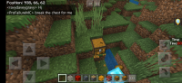 Screenshot_2019-12-10-20-16-13-214_com.mojang.minecraftpe.jpg