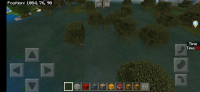 Screenshot_2019-12-10-20-18-15-106_com.mojang.minecraftpe.jpg