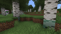 Minecraft Screenshot 2019.12.11 - 13.31.11.79.png