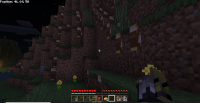 graphical bug.png
