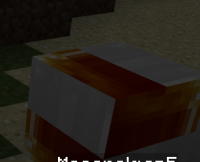 snow glitch.PNG