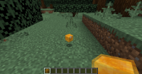 2019-12-14_22.16.25.png