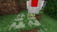 2019-12-15_12.58.28.png