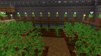 Minecraft 17_12_2019 02_55_11 p. m..png