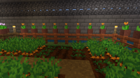 Minecraft 17_12_2019 02_54_55 p. m..png