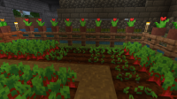 Minecraft 17_12_2019 02_54_39 p. m..png