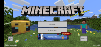 Screenshot_20191220_215354_com.mojang.minecraftpe.jpg