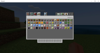 Minecraft screenshot.jpg