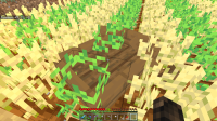 Minecraft 30_12_2019 4_30_54 PM.png