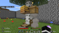 Setup 001.jpg
