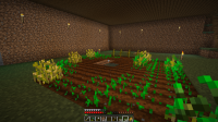 mc farm bug.png